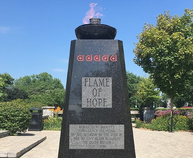 alt="Flame of Hope"