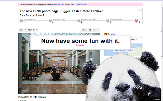 alt="flickr-panda"