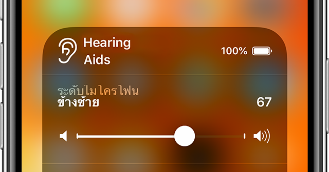 alt="Hearing Aids"