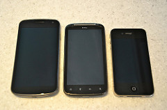 alt=" size comparison"