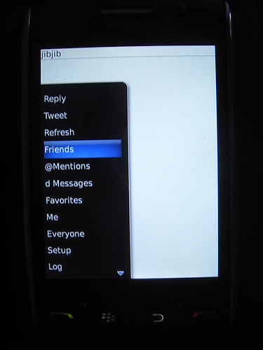 alt="Jibjib on BlackBerry Storm"