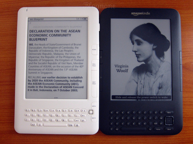 alt="iReed Compared with Kindle"