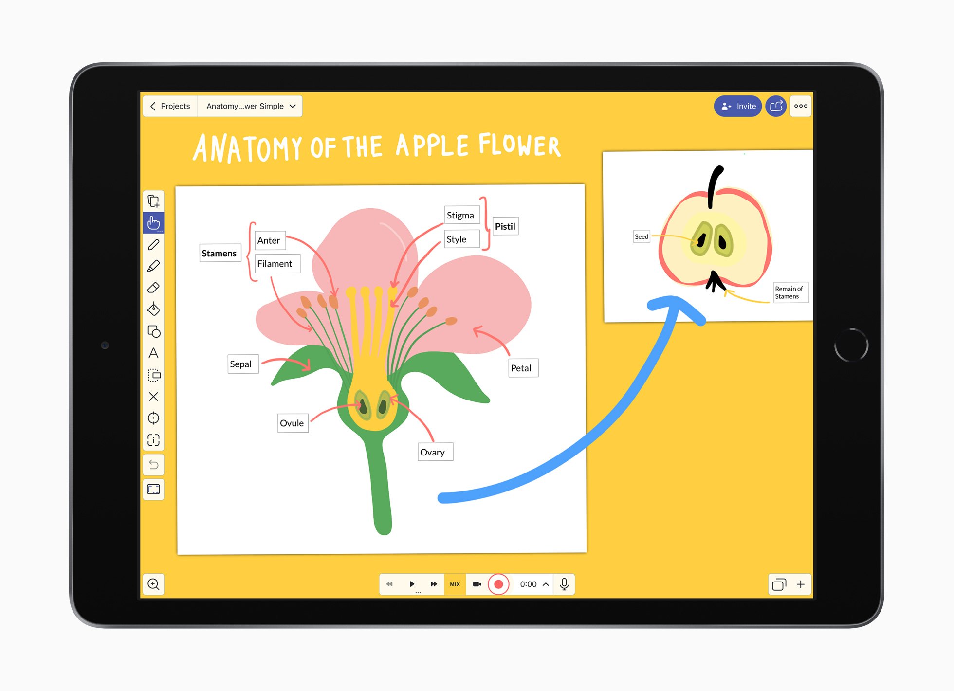 alt="Explain Everything Whiteboard"