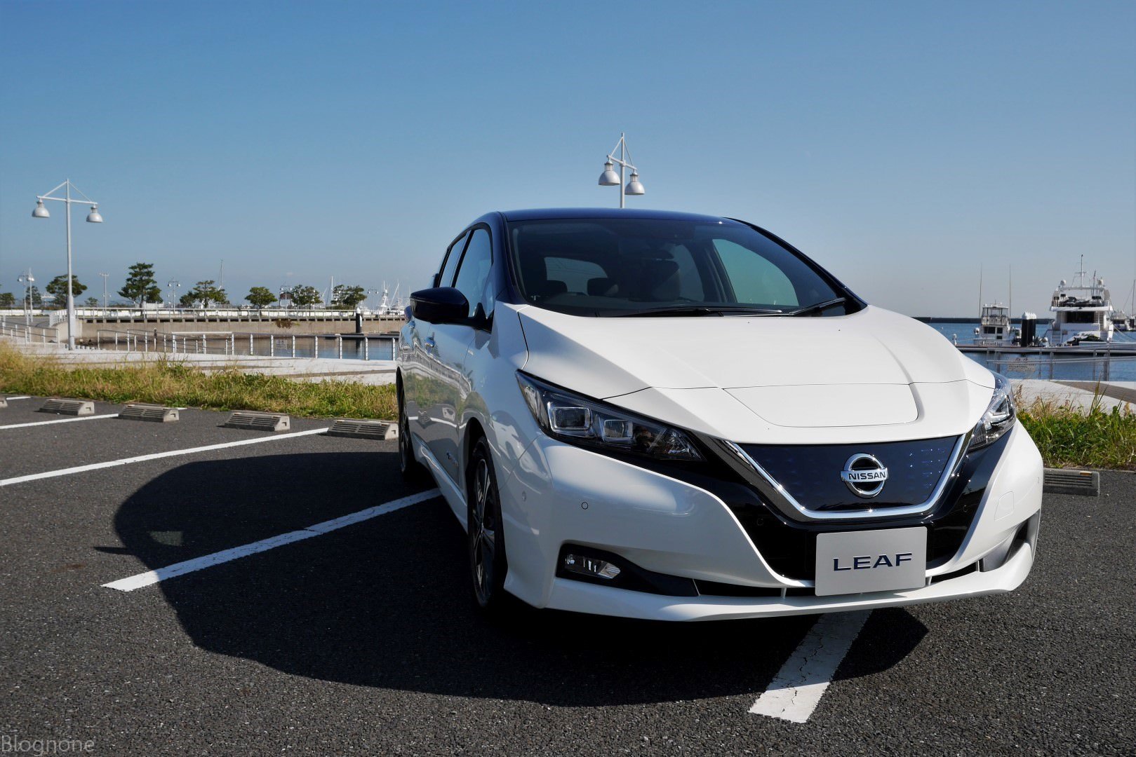 2017 leaf on sale
