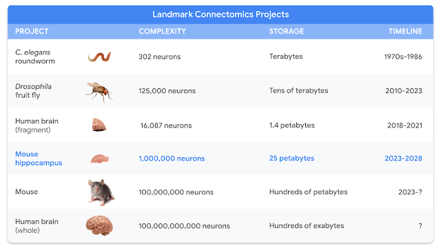 กูเกิลประกาศร่วมโครงการ Brain Research Through Advancing Innovative Neurotechnologies (BRAIN) ของ NIH หน่วยงานวิจัยด้านสุขภาพของสหรัฐฯ โดยจะทำแผนที่สมองหนูเฉพาะส่วนฮิปโปแคมปัสขนาดประมาณ 2-3% ของสมองทั้งก้อน รวมปริมาณนิวรอนที่จะวิเคราะห์อยู่ที่ระดับ 1 ล้านนิวรอน