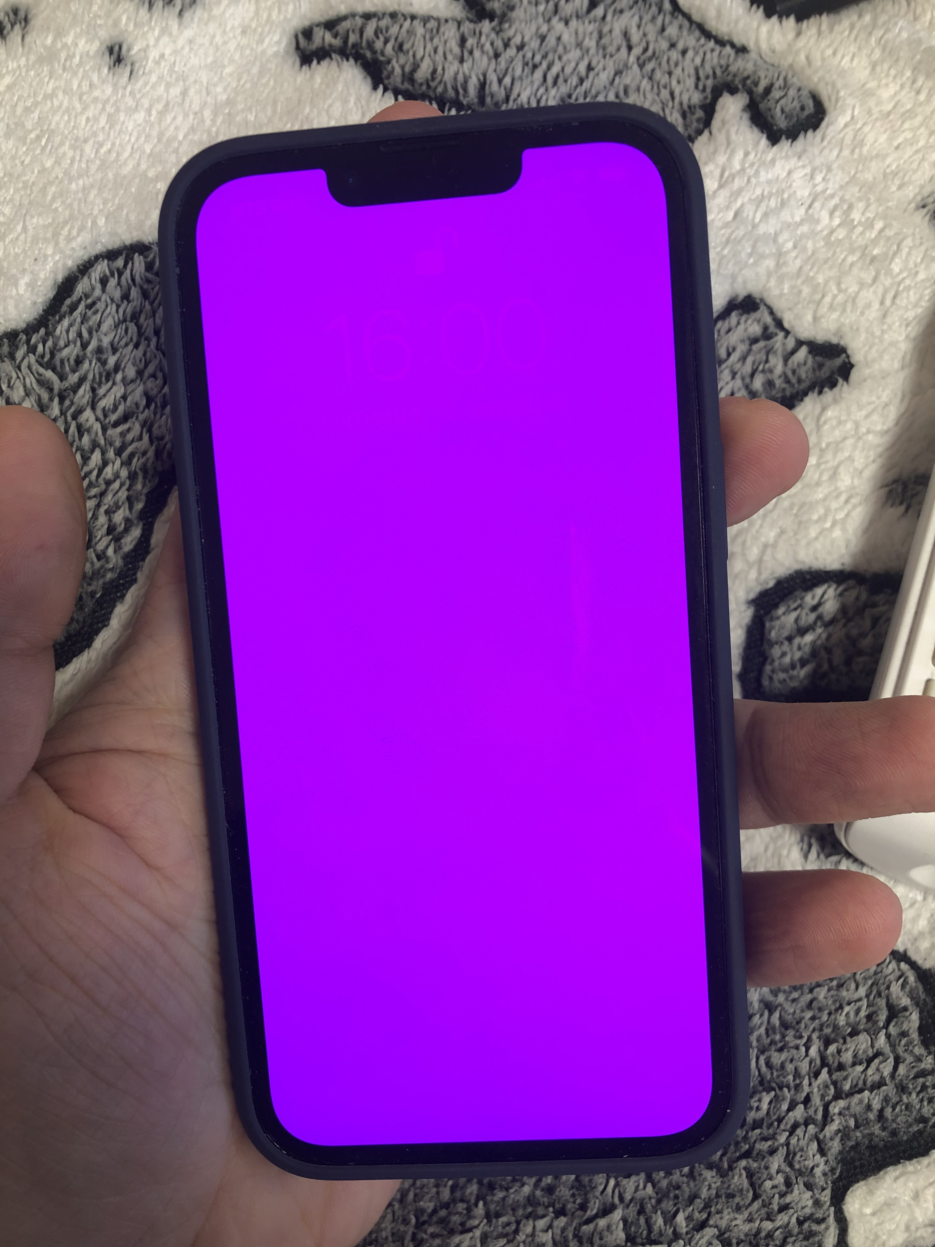 alt="iPhone 13 Pink Screen"