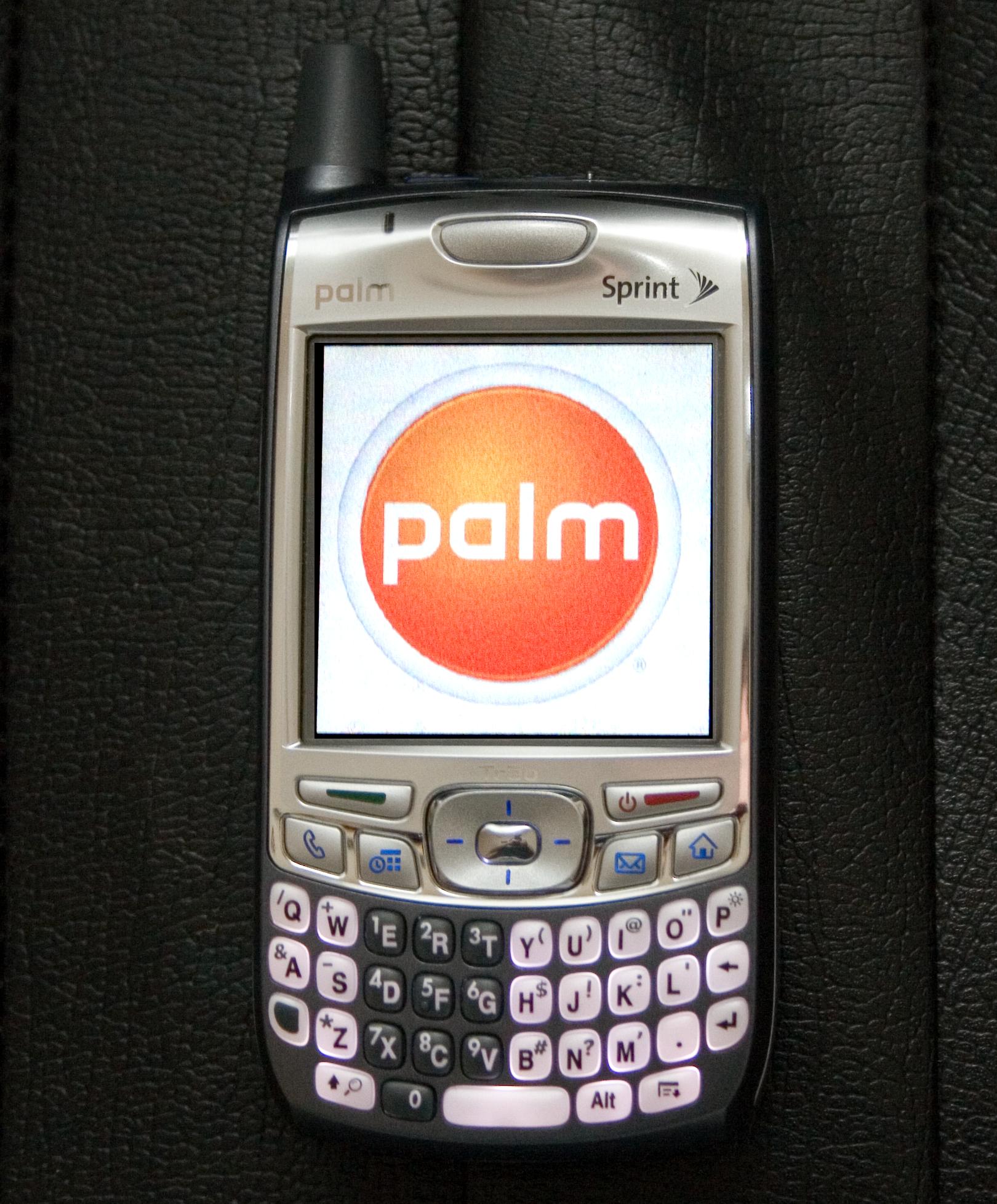 alt="Palm"