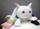 Kyubey's picture