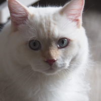 Profile picture for user mcomtech